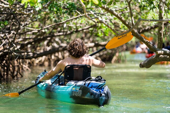 Sarasota Mangrove Tunnel Guided Kayak Adventure - Weather, Cancellations, and Timing