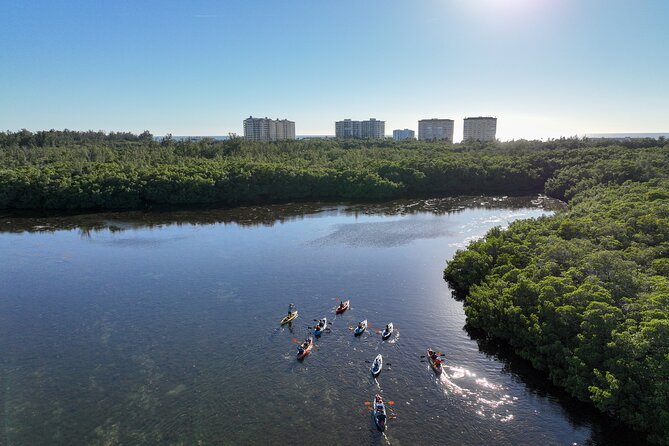 Sarasota Mangrove Tunnel Guided Kayak Adventure - The First Two Hours: Open Bay, Wildlife, and Tunnels