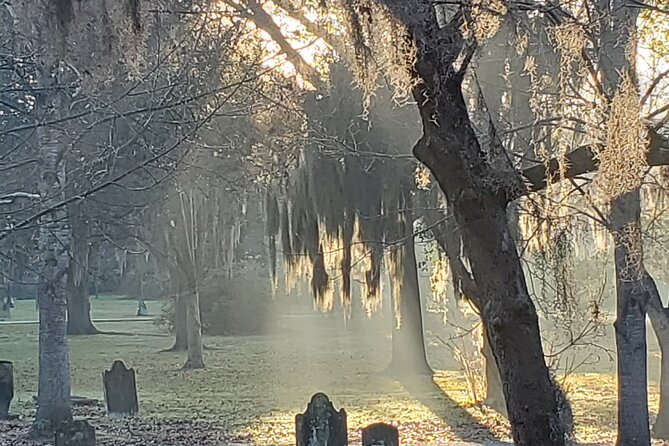 Savannah History and Haunts Candlelit Ghost Walking Tour - A thoughtful alternative to a typical ghost tour