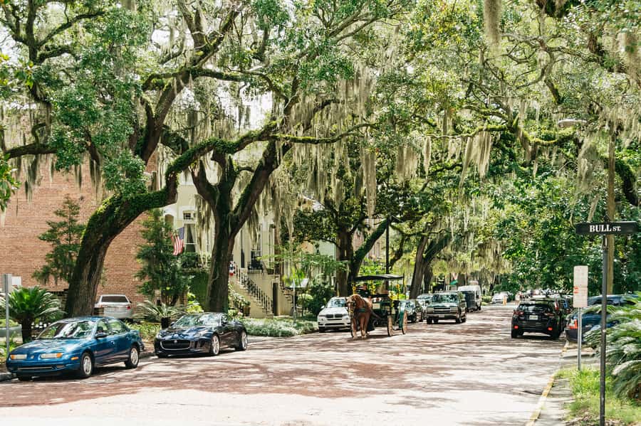 Savannah: Old Savannah Tours Historic Overview - Guide quality is the heart of the experience