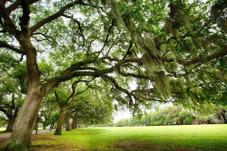 Savannah: Riverboat Cruise & City Tour Combo - The pause between tours needs planning