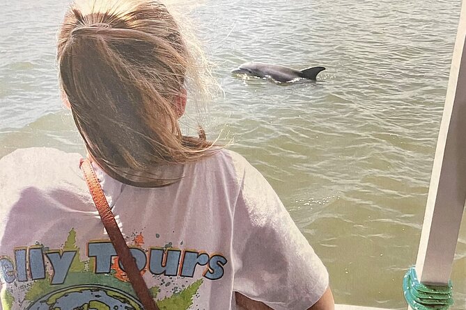 Savannah to Tybee Island with Dolphin Cruise - The Trolley Ride From Downtown Savannah