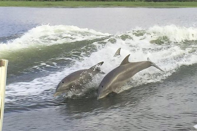 Savannah to Tybee Island with Dolphin Cruise - Tybee Island Lighthouse and North Beach