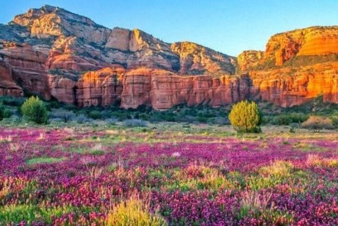 Scenic Sedona Tour - Airport Mesa: A Wide View of West Sedona