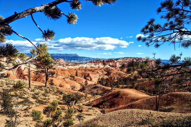 Scenic Tour of Bryce Canyon - Key points to know before booking