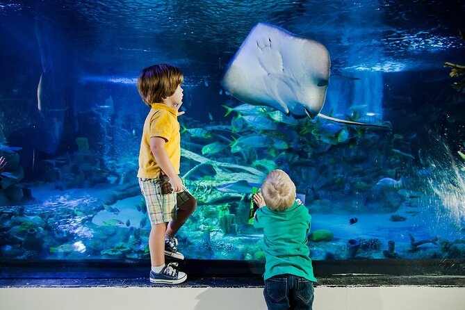SEA LIFE Orlando Aquarium Admission Ticket at ICON Park - The Florida Keys, Gulf Shores, and Familiar Faces