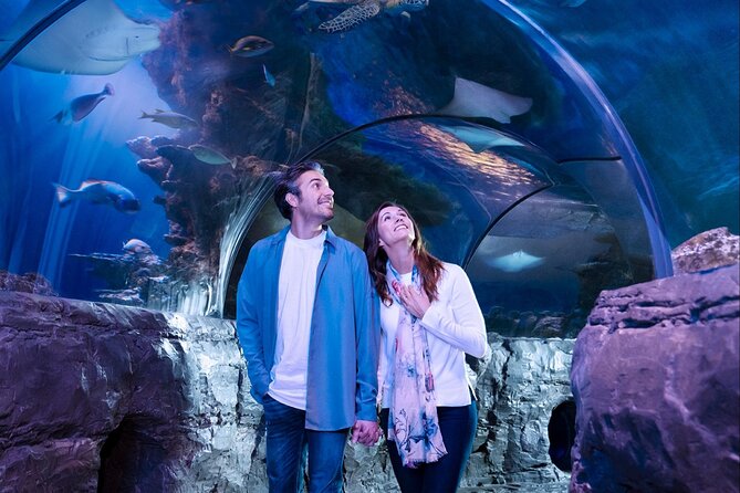 SEA LIFE Orlando Aquarium Admission Ticket at ICON Park - Sharks, Stingrays, and the 360-Degree Tunnel