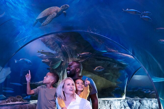 SEA LIFE Orlando Aquarium Admission Ticket at ICON Park - Adding Madame Tussauds and the Orlando Eye