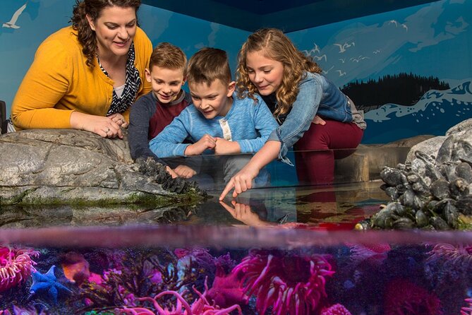 SEA LIFE Orlando Aquarium Admission Ticket at ICON Park - Starting in Florida’s Wetlands and Swamps