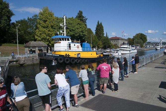 Seattle City and Snoqualmie Falls Half-Day Guided Tour - Why this half-day route works