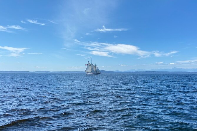 Seattle Sailing Harbor Tour - Setting out from Pier 66
