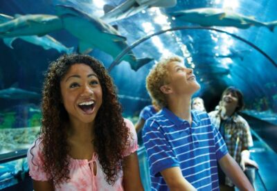 SeaWorld Orlando: Park Admission Ticket