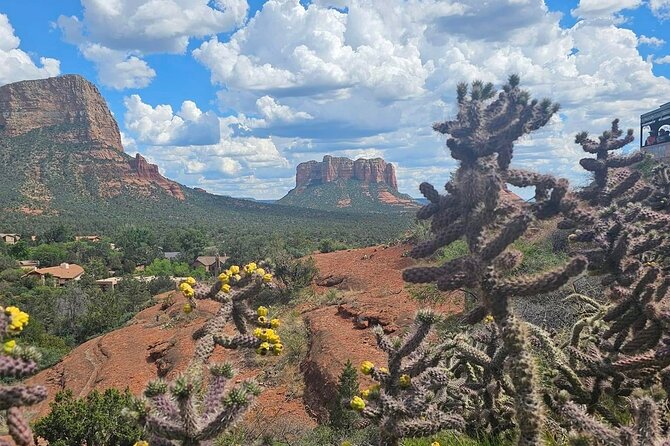 Sedona Magical Sightseeing Highlight Tour- 5 Stars - The guides bring the tour to life