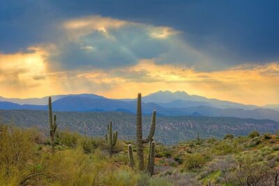 Sedona Outlaw Trail: 3-Hr 4×4 Tour of Western Canyons & Wildlife