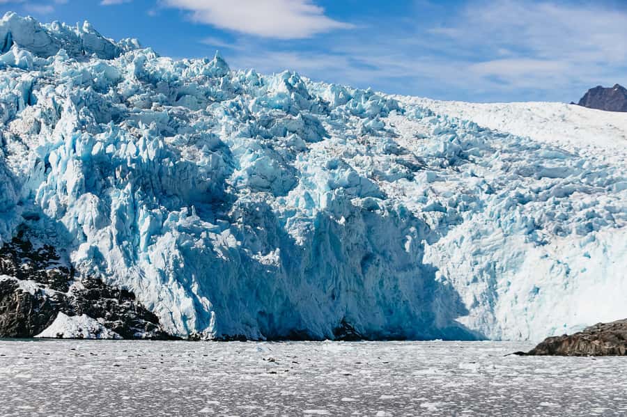 Seward: Kenai Fjords National Park Catamaran Cruise w/Lunch - Wildlife watching in protected Alaskan waters