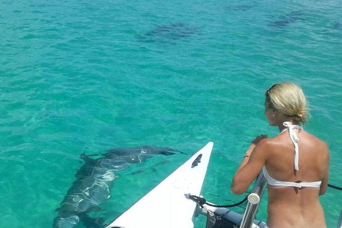 Shallow Water Snorkeling and Dolphin Watching in Key West - Key points to know before you go