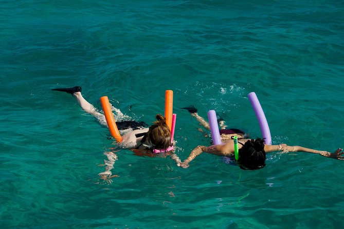 Shallow Water Snorkeling and Dolphin Watching in Key West - The first stop, wild dolphins near Key West
