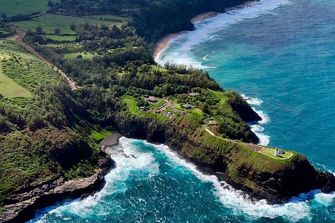 Shared Round-Trip Transfer: Honolulu Airport to Hotel or Cruise Terminal - Who should book this Honolulu transfer?