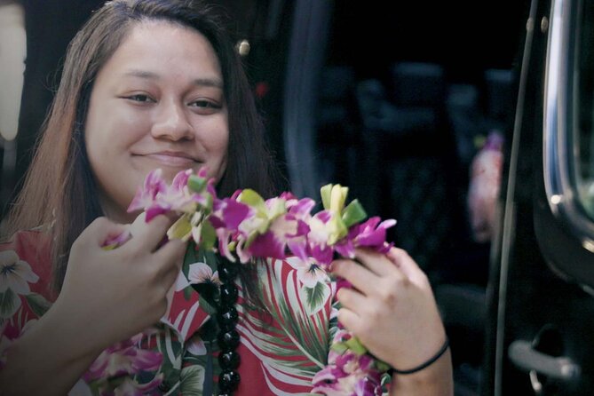 Shared Round-Trip Transfer: Honolulu Airport to Hotel or Cruise Terminal - The Mercedes van and the shared ride