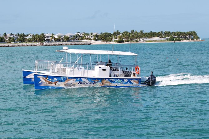Shark and Wildlife Viewing Adventure in Key West - What the crew adds to the experience