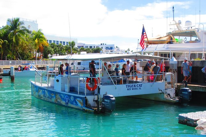 Shark and Wildlife Viewing Adventure in Key West - Comfort, clothing, and practical details