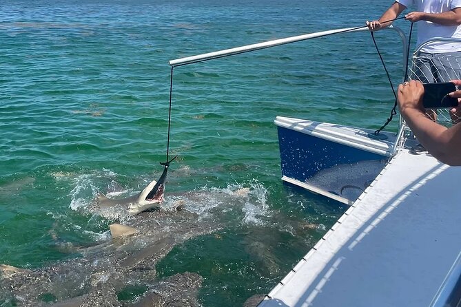 Shark and Wildlife Viewing Adventure in Key West - Who will enjoy this Key West outing?