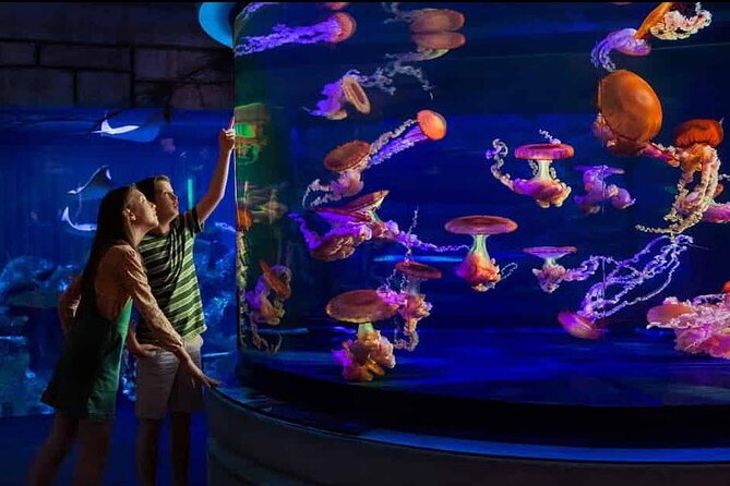 Shark Reef at Mandalay Bay Hotel and Casino - The route begins with unusual predators