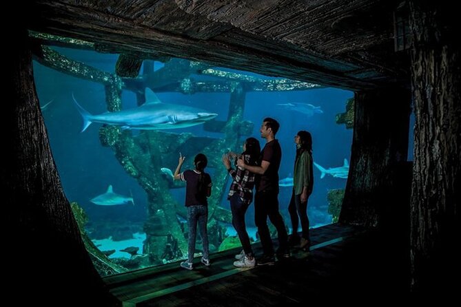 Shark Reef at Mandalay Bay Hotel and Casino - Who will enjoy Shark Reef most?