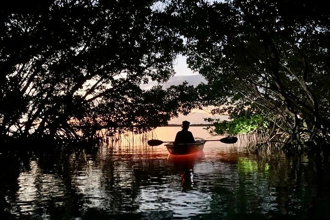 Shell Key Clear Kayak Sunset & Glow Tours - The first paddle through Shell Key Preserve