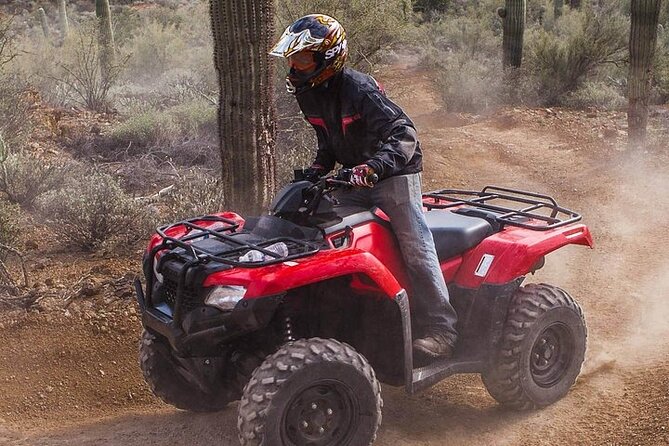 Sidewinder ATV Training & Centipede Tour Combo - Guided ATV Training & Tour - Who should book this ATV tour