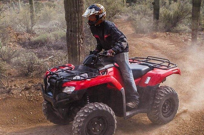 Sidewinder ATV Training & Centipede Tour Combo - Guided ATV Training & Tour - Timing, cancellation, and practical planning
