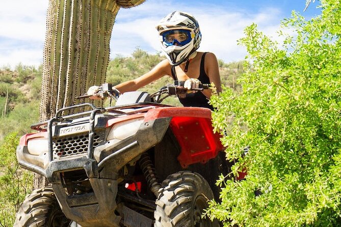 Sidewinder ATV Training & Centipede Tour Combo - Guided ATV Training & Tour - Is the Sidewinder ATV combo worth booking?