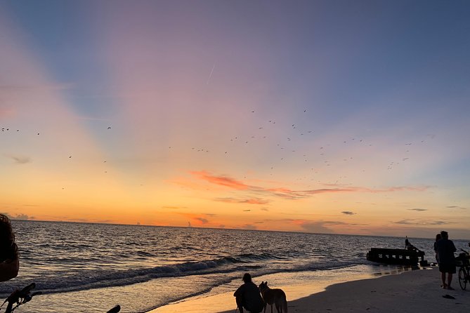 Siesta Key Electric Bike Sunset Tour - What the $71.43 price gets you