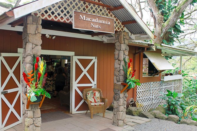 Sights & Bites Ultimate Oahu Circle Island Foodie Tour - Mokoli‘i Island and the North Shore Drive