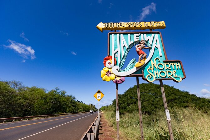 Sights & Bites Ultimate Oahu Circle Island Foodie Tour - Pua‘ena Point and the Green Sea Turtles