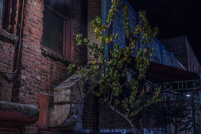 Sinister Sins, Scandal, and Shadows: Seattle Ghost Tour - Seattle’s boom, money, and lingering spirits