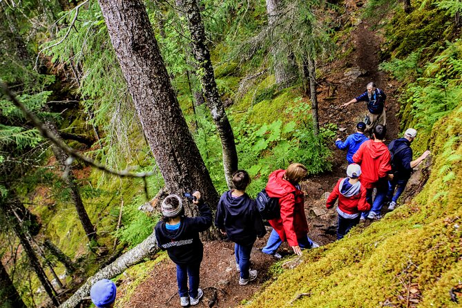 Skagway Shore Excursion Chilkoot Trail Hike and Float Tour - The fitness question: moderate for some, hard for others