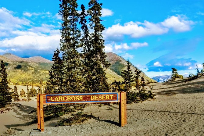 Skagway Shore Excursion: Full-Day Tour of the Yukon - White Pass views and the first lake stops