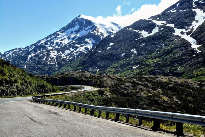 Skagway Shore Excursion: Half-Day Tour to the Yukon Border and Suspension Bridge - Waterfalls, bridges, and the Klondike Highway