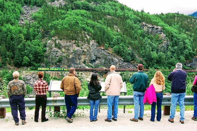 Skagway Shore Excursion: Half-Day Tour to the Yukon Border and Suspension Bridge - White Pass Summit and Tormented Valley
