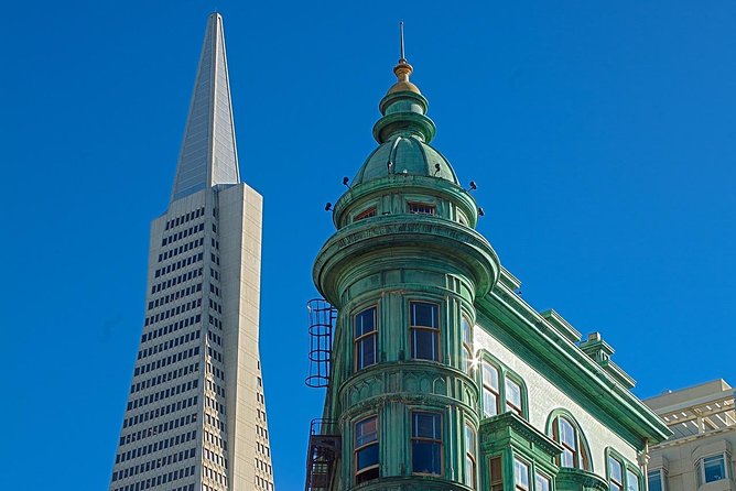 Skip The Bus: San Francisco By Luxury Van Tour - Alamo Square and the famous Painted Ladies