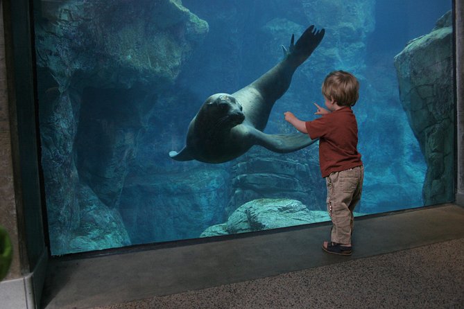 Skip the Ticketing Line: Aquarium of the Pacific General Admission Ticket - Lorikeet Forest, Penguins, and Touch Pools
