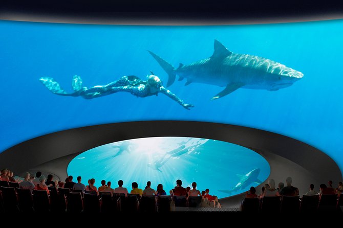 Skip the Ticketing Line: Aquarium of the Pacific General Admission Ticket - Parking, Public Transportation, and Food