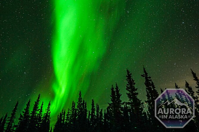 SkyChase™ | Northern Lights Experience - Free Photography & More - Campfire food and a warm place to wait