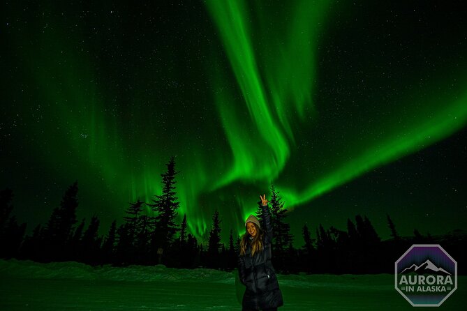 SkyChase™ | Northern Lights Experience - Free Photography & More - The group size, comfort, and timing