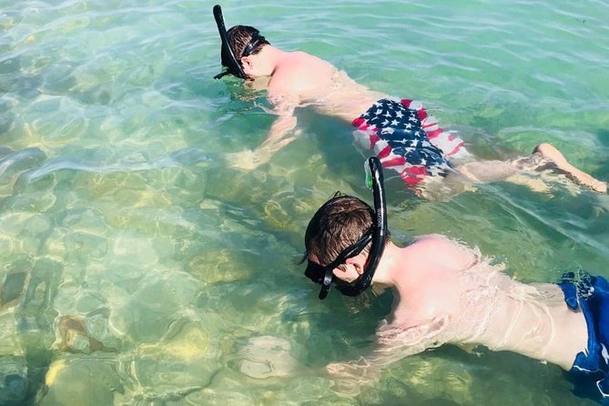 Small Group 2 Hour Dolphin Cruise with Snorkeling to Shell Key - From Tierra Verde Marina to Boca Ciega Bay
