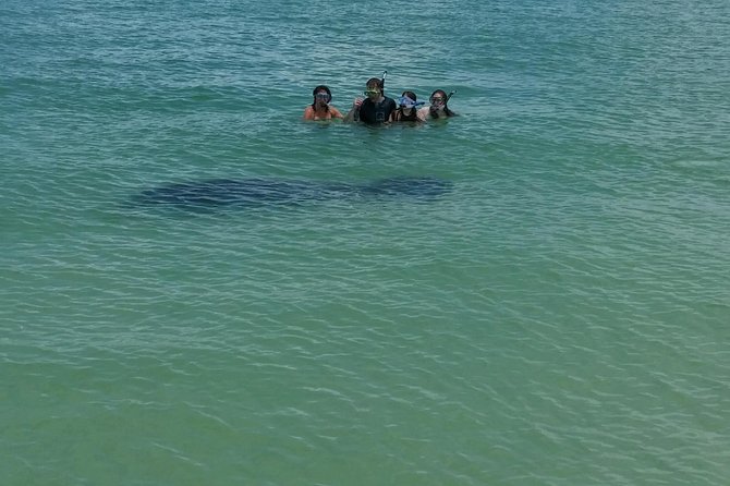 Small Group 2 Hour Dolphin Cruise with Snorkeling to Shell Key - What the snorkeling is really like