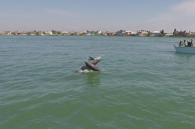 Small Group 2 Hour Dolphin Cruise with Snorkeling to Shell Key - Who will enjoy this cruise most?