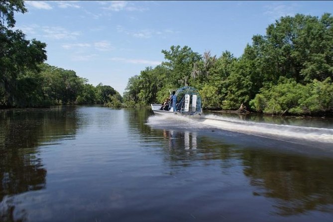 Small-Group Airboat Swamp Tour with Downtown New Orleans Pickup - Alligators, Birds, and the Search for Wildlife