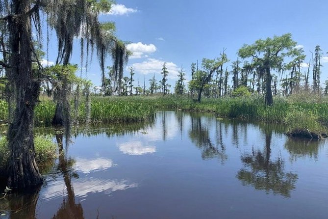 Small-Group Airboat Swamp Tour with Downtown New Orleans Pickup - Stadium Seating and a Nine-Person Group